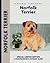 Norfolk Terrier (Comprehensive Owner's Guide)
