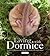 Living with Dormice