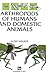 Arthropods of Humans and Domestic Animals by Alan C. Walker