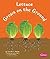 Lettuce Grows on the Ground...