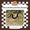 Yellow-Bellied Sea Snakes (Snakes)
