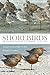 Shorebirds of North America, Europe, and Asia by Richard Chandler
