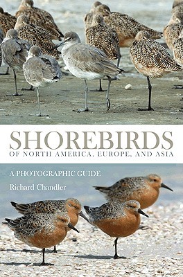 Shorebirds of North America, Europe, and Asia: A Photographic Guide (Paperback)