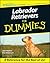 Labrador Retrievers for Dummies