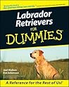 Labrador Retrievers for Dummies