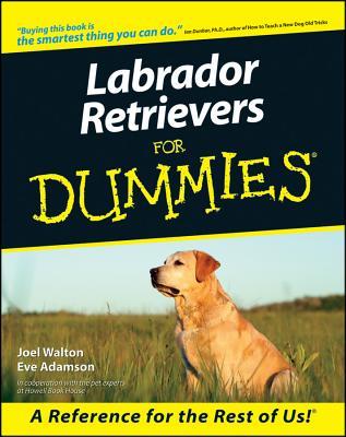 Labrador Retrievers for Dummies (Paperback)