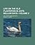 Life On The Old Plantation In Ante Bellum Days (V. 2); Or, A ... by Irving E. Lowery