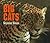 Big Cats