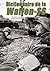 Dictionnaire de la Waffen-SS Tome 1 (French Edition)