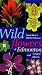 Wild Flowers of Edmonton an...