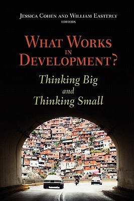 What Works in Development?: Thinking Big and Thinking Small (Paperback)