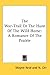 The War-Trail Or The Hunt Of The Wild Horse: A Romance Of The Prairie