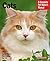 Cats (Complete Pet Owner's Manuals)