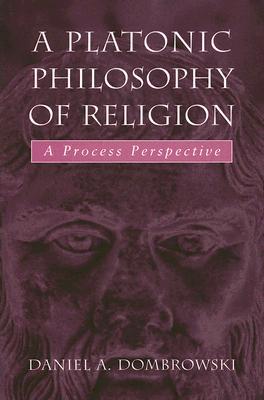 A Platonic Philosophy of Religion: A Process Perspective (Paperback)