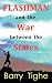 Flashman and the War Between the States