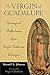 The Virgin of Guadalupe: Theological Reflections of an Anglo-Lutheran Liturgist (Celebrating Faith: Explorations in Latino Spirituality and Theology)