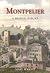 Montpelier by David Curtis Wright