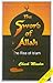 The Sword of Allah: The Rise of Islam [With Booklet] (Prophetic Updates)
