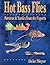 Hot Bass Flies