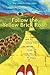 Follow the Yellow Brick Roa...