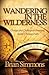 Wandering in the Wilderness: Changes and Challenges to Emerging Adults Christian Faith