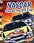NASCAR Chase for the Cup by Gail Blasser Riley