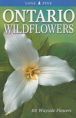 Ontario Wildflowers (Paperback)