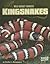Kingsnakes by Heather L. Montgomery Kingsnakes by Heather L. Montgomery