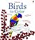 Birds to Color
