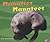 Manaties/Manatees
