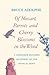 Of Mozart, Parrots, Cherry Blossoms in the Wind by Bruce Adolphe
