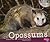 Opossums (Pebble Plus: Nocturnal Animals)