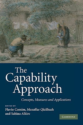 The Capability Approach: Concepts, Measures and Applications (Hardcover)