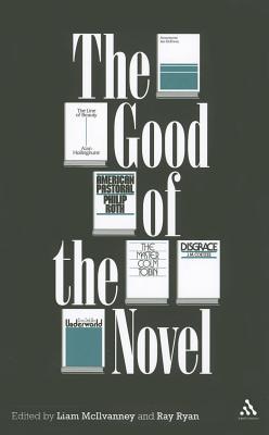 The Good of the Novel (Paperback)