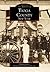 Tioga County (Images of America: New York)