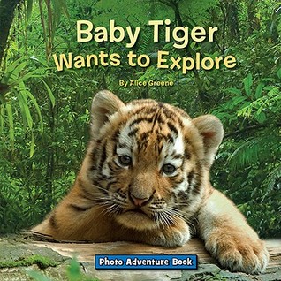Baby Tiger Wants to Explore (Photo Adventure Book)
