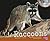 Raccoons by J. Angelique Johnson