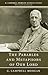 The Parables and Metaphors of Our Lord (G. Campbell Morgan Reprint)