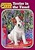 Terrier in the Tinsel (Animal Ark Series #34)