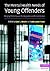 The Mental Health Needs of Young Offenders: Forging Paths toward Reintegration and Rehabilitation