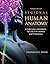 Regional Human Anatomy Lab Workbook