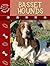 Basset Hounds (EYE TO EYE WITH DOGS)