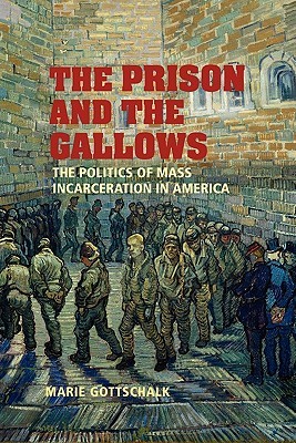 The Prison and the Gallows: The Politics of Mass Incarceration in America (Cambridge Studies in Criminology)