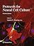 Protocols for Neural Cell Culture (Springer Protocols Handbooks)