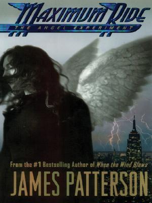 The Angel Experiment
