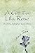 A Gift for Lila Rose: A Chi...