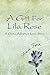 A Gift for Lila Rose by Fred Ford