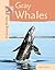 Gray Whales