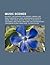Music Scenes: No Wave, the Elephant 6 Recording Company, Bay Area Thrash Metal, Early Norwegian Black Metal Scene, Post-Disco, Detroit Techno
