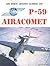 Bell P-59 Airacomet (Air Fo...